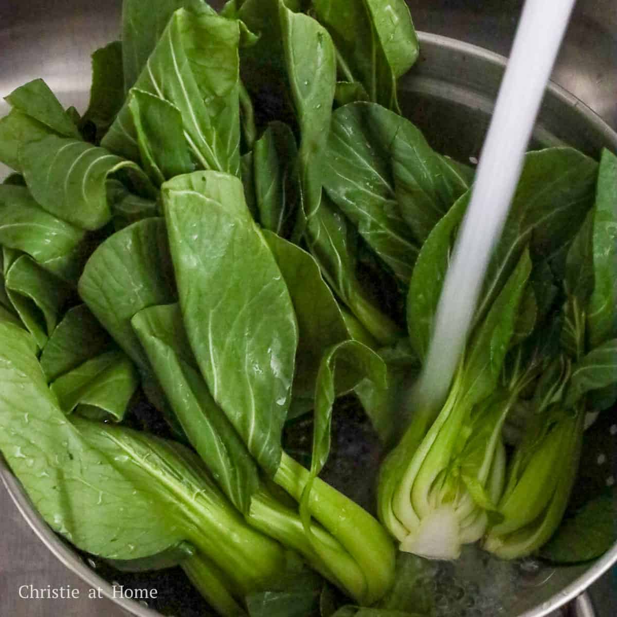 wash bok choy in between the leaves