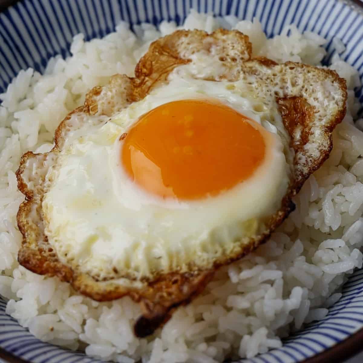 transfer egg to rice