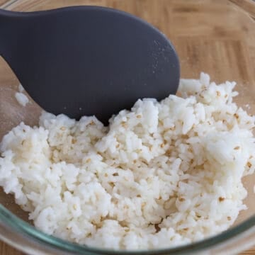 In a large bowl with hot cooked rice, season with sesame oil, sesame seeds, and a bit of salt. Mix well. Cover with a damp towel or lid and keep warm at room temperature.