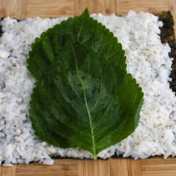 Place two perilla leaves in the center of the rice, overlapping them so they can fit within the sheet of seaweed. 