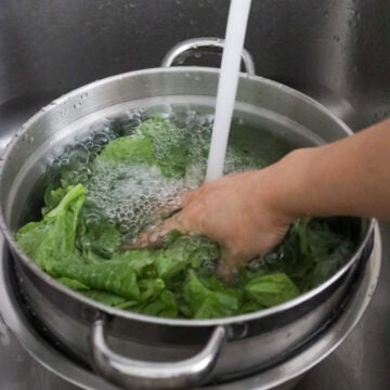 Wash the snow pea leaves in cold water until water runs clear to remove any dirt. 