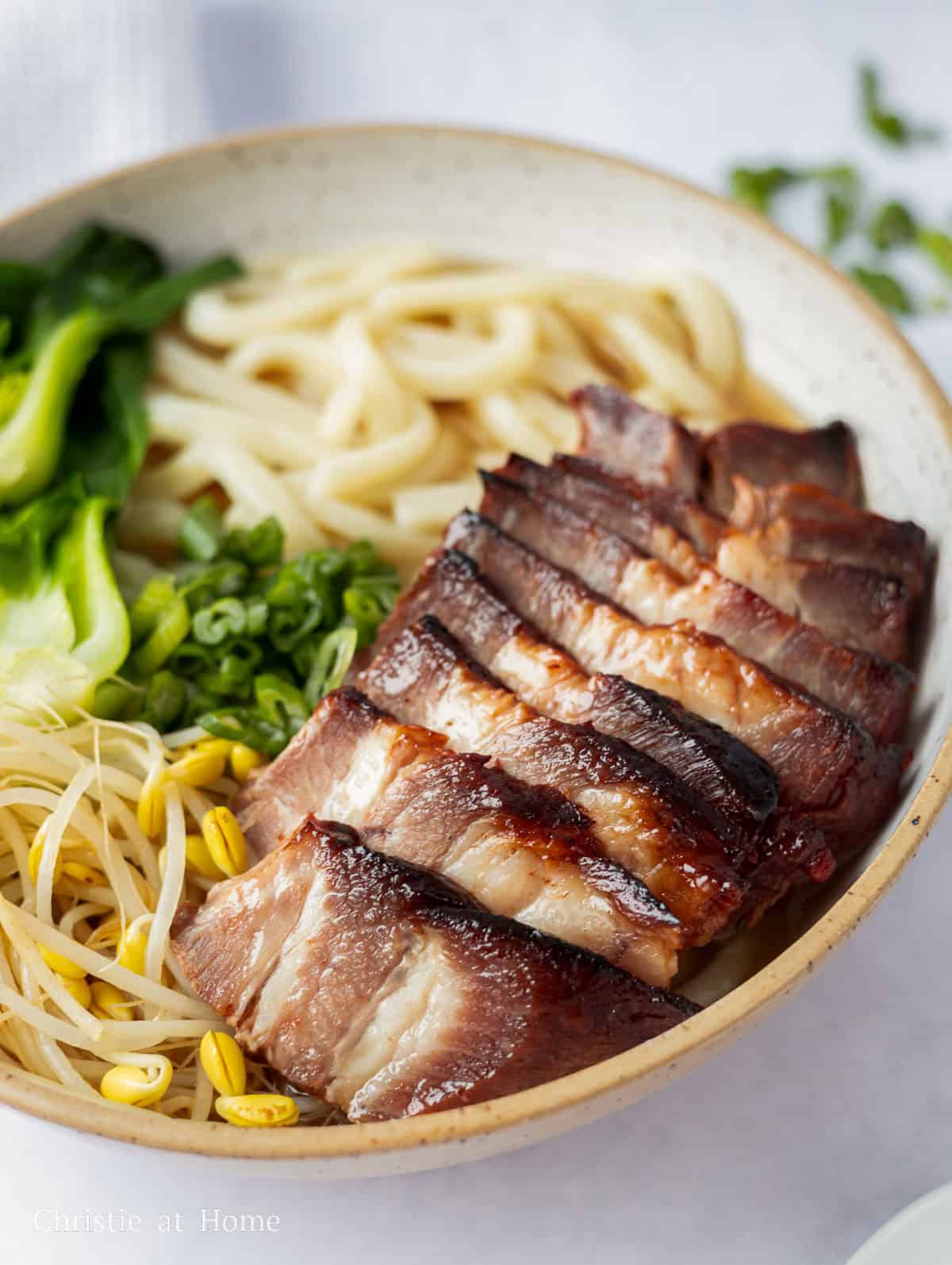 char siu udon noodle soup