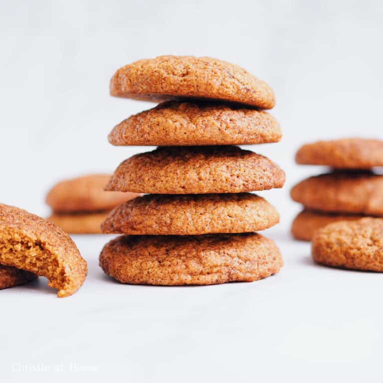 vegan cinnamon oat cookies