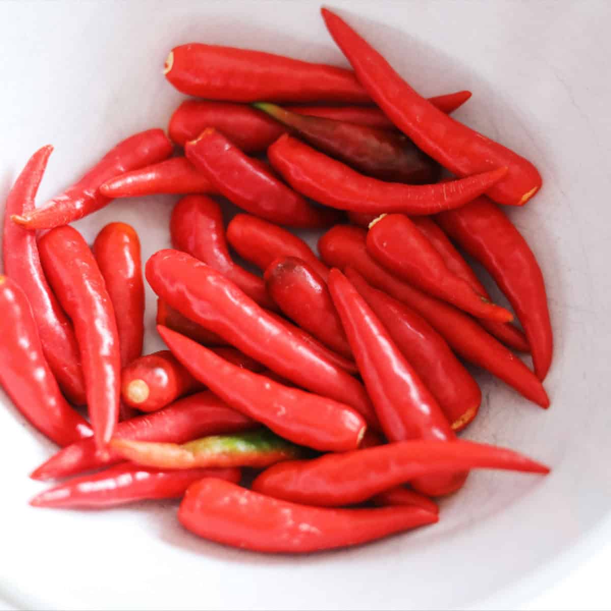 a picture of bird's eye red chili peppers