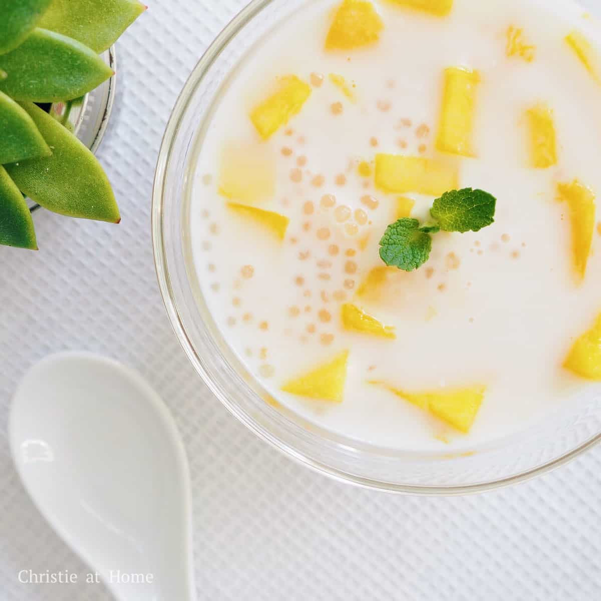 coconut mango sago dessert