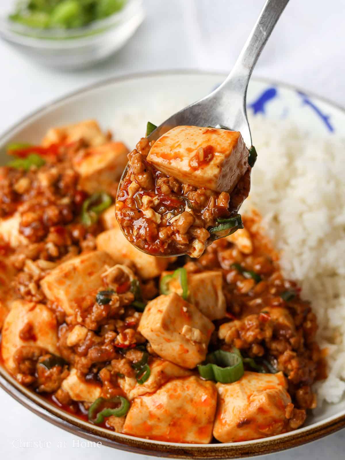 Mapo Tofu