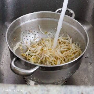 Rinse the cooked bean sprouts under cold running water until they come to room temperature. Strain as much as the excess water as you can.